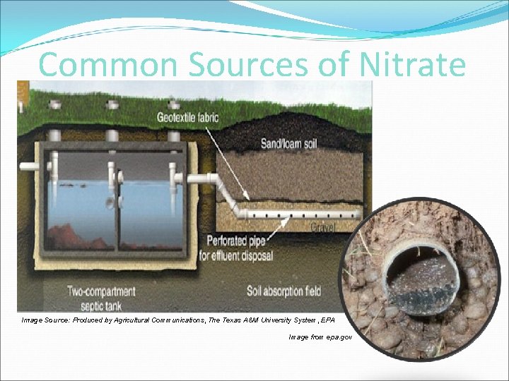 Common Sources of Nitrate Image Source: Produced by Agricultural Communications, The Texas A&M University