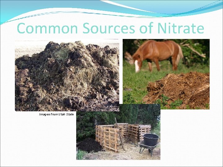 Common Sources of Nitrate Images from Utah State Image from epa. gov 
