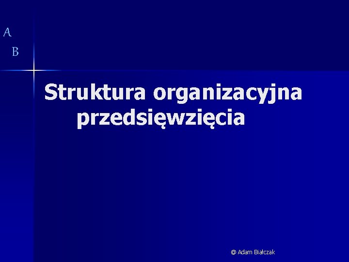 A B Struktura organizacyjna przedsięwzięcia @ Adam Białczak 