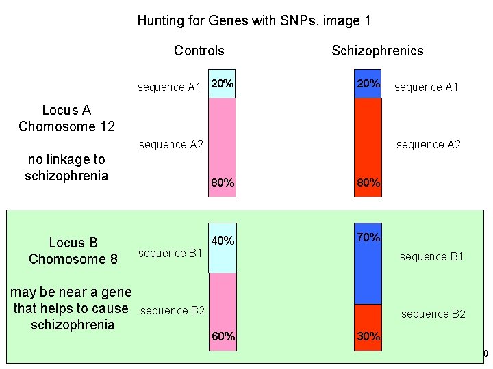 Hunting for Genes with SNPs, image 1 Controls sequence A 1 20% Schizophrenics 20%