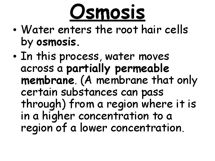 Osmosis • Water enters the root hair cells by osmosis. • In this process,