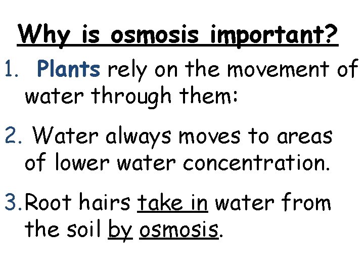 Why is osmosis important? 1. Plants rely on the movement of water through them: