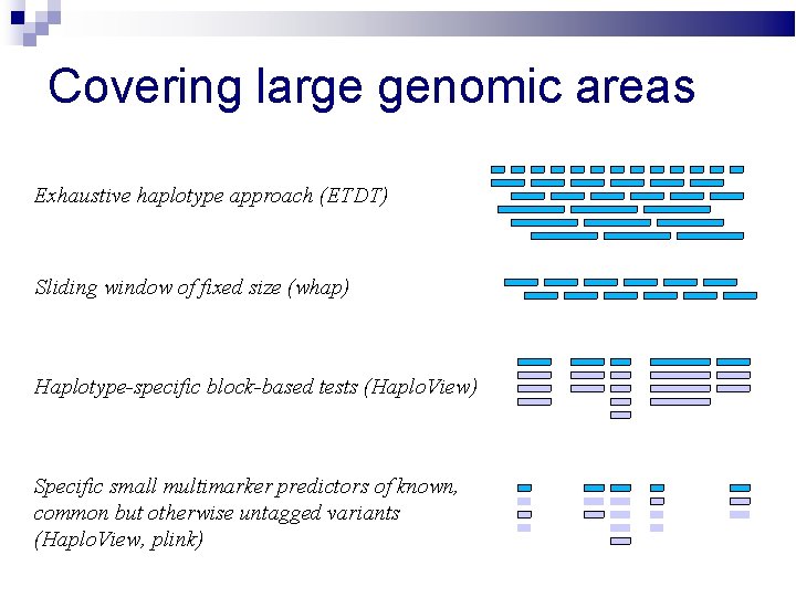 Covering large genomic areas Exhaustive haplotype approach (ETDT) Sliding window of fixed size (whap)