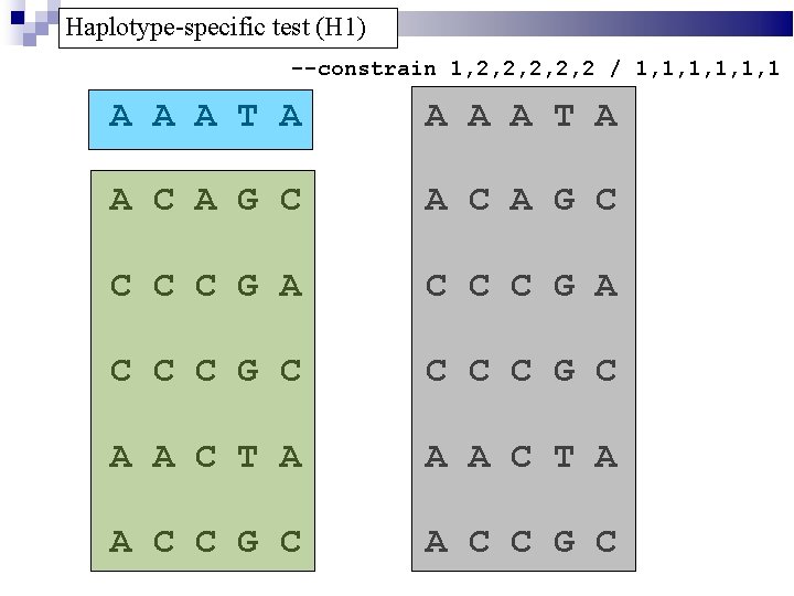 Haplotype-specific test (H 1) --constrain 1, 2, 2, 2 / 1, 1, 1, 1