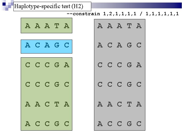 Haplotype-specific test (H 2) --constrain 1, 2, 1, 1 / 1, 1, 1, 1