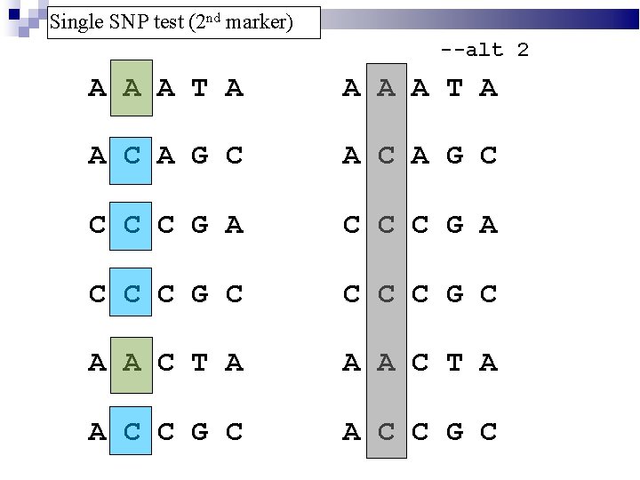 Single SNP test (2 nd marker) --alt 2 A A A T A A