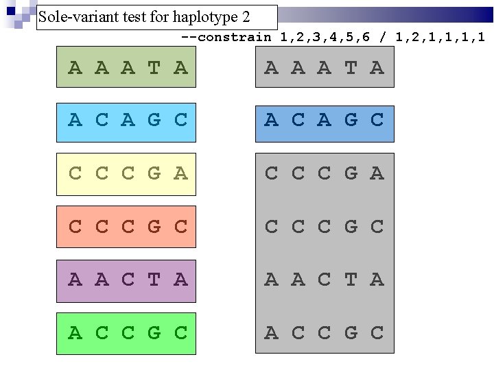 Sole-variant test for haplotype 2 --constrain 1, 2, 3, 4, 5, 6 / 1,