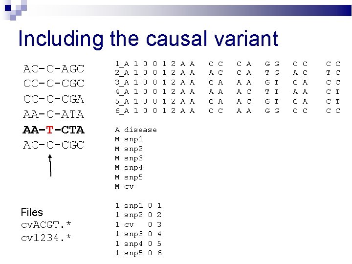 Including the causal variant AC-C-AGC CC-C-CGA AA-C-ATA AA-T-CTA AC-C-CGC Files cv. ACGT. * cv