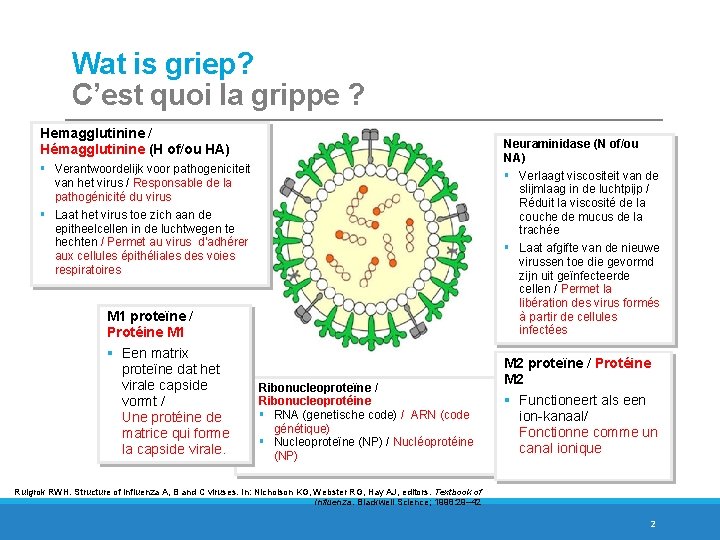 Wat is griep? C’est quoi la grippe ? Hemagglutinine / Hémagglutinine (H of/ou HA)