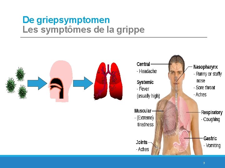 De griepsymptomen Les symptômes de la grippe 3 