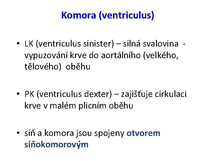 Komora (ventriculus) • LK (ventriculus sinister) – silná svalovina - vypuzování krve do aortálního
