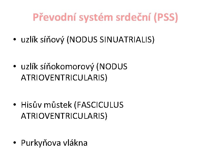 Převodní systém srdeční (PSS) • uzlík síňový (NODUS SINUATRIALIS) • uzlík síňokomorový (NODUS ATRIOVENTRICULARIS)