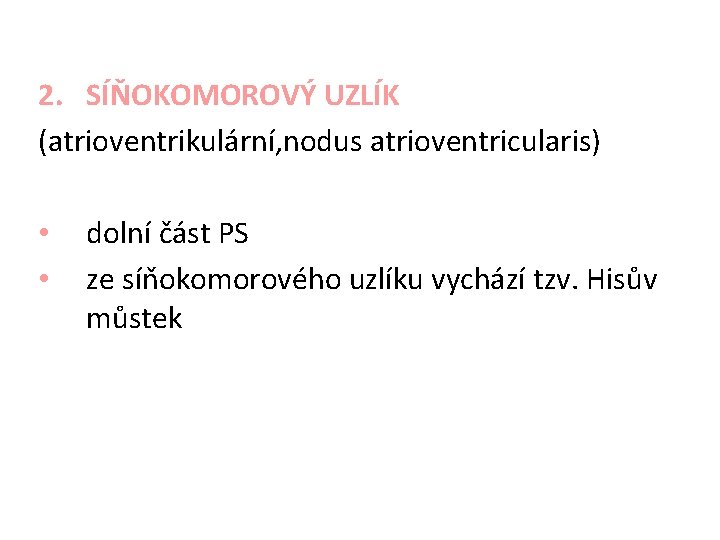 2. SÍŇOKOMOROVÝ UZLÍK (atrioventrikulární, nodus atrioventricularis) • • dolní část PS ze síňokomorového uzlíku