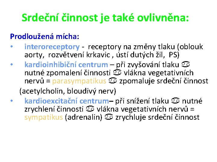 Srdeční činnost je také ovlivněna: Prodloužená mícha: • interoreceptory - receptory na změny tlaku