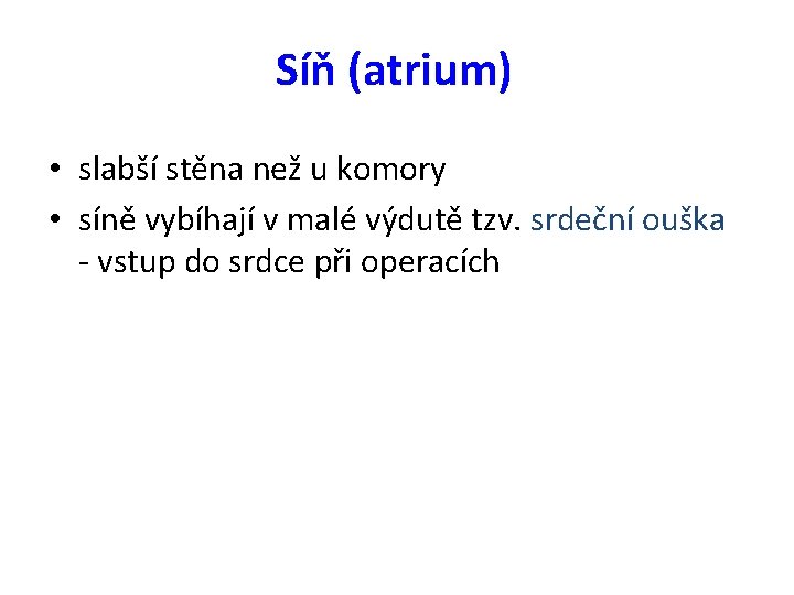 Síň (atrium) • slabší stěna než u komory • síně vybíhají v malé výdutě