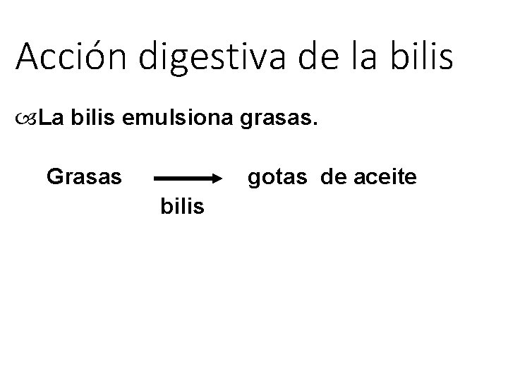 Acción digestiva de la bilis La bilis emulsiona grasas. Grasas gotas de aceite bilis