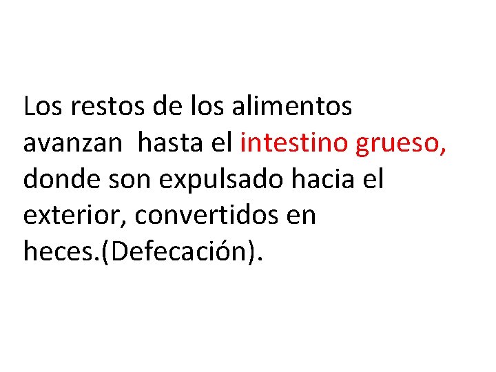 Los restos de los alimentos avanzan hasta el intestino grueso, donde son expulsado hacia