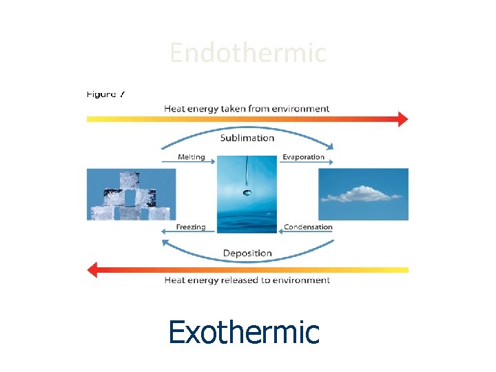 Endothermic Exothermic 