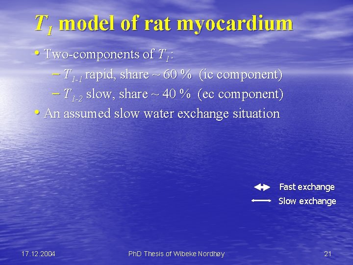 T 1 model of rat myocardium • Two-components of T 1: – T 1