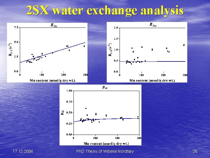 2 SX water exchange analysis 17. 12. 2004 Ph. D Thesis of Wibeke Nordhøy