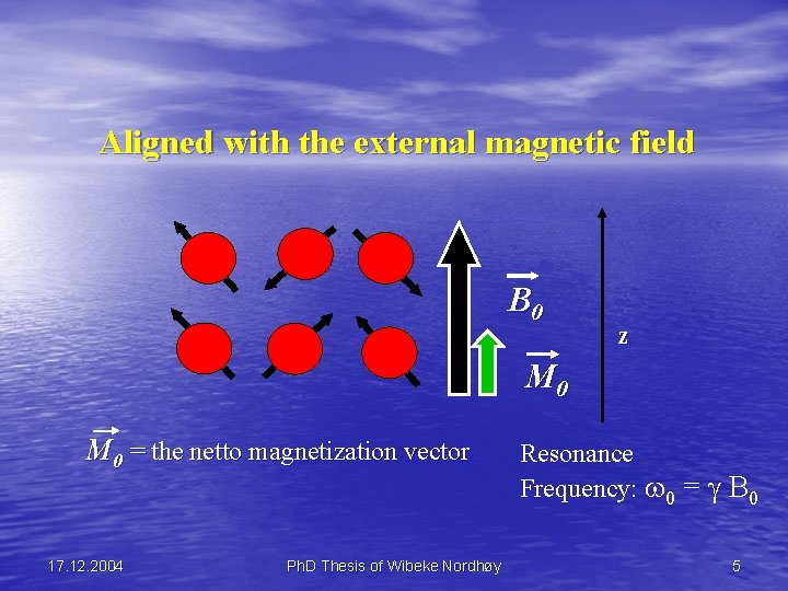 Aligned with the external magnetic field B 0 z M 0 = the netto