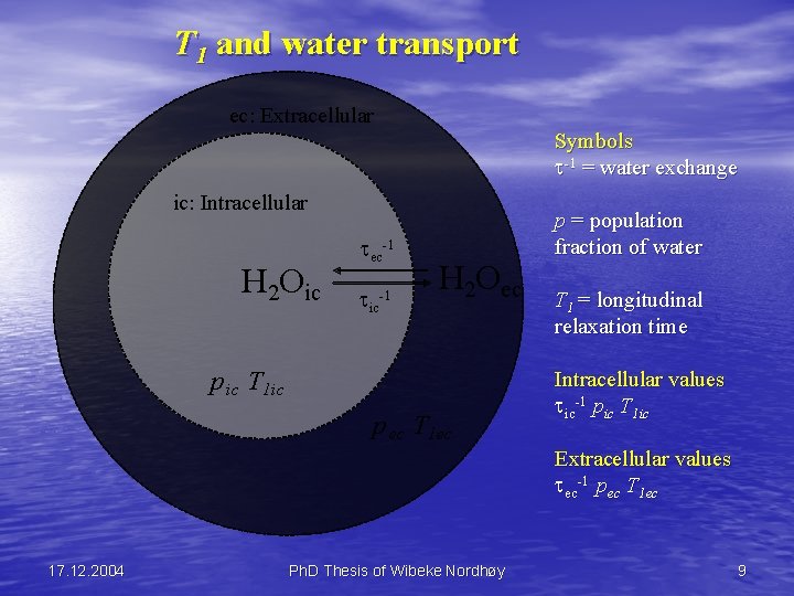 T 1 and water transport ec: Extracellular Symbols -1 = water exchange ic: Intracellular