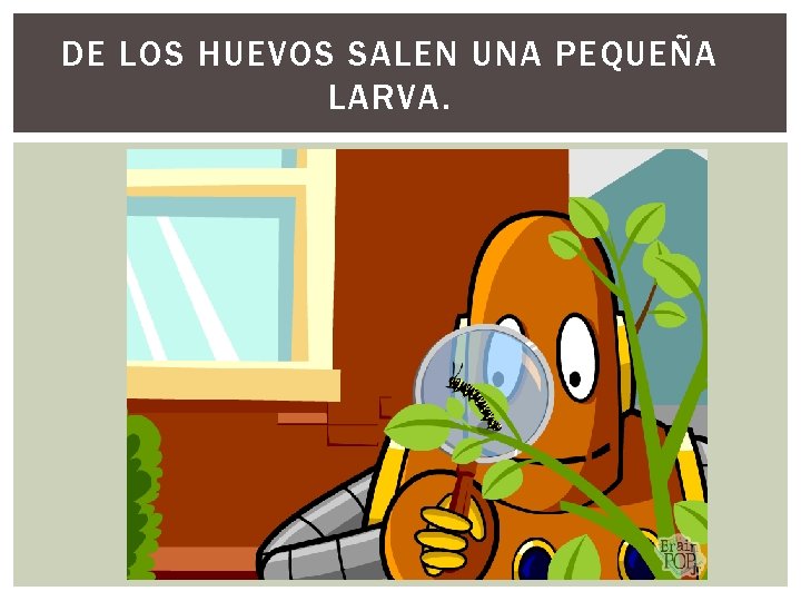 DE LOS HUEVOS SALEN UNA PEQUEÑA LARVA. 