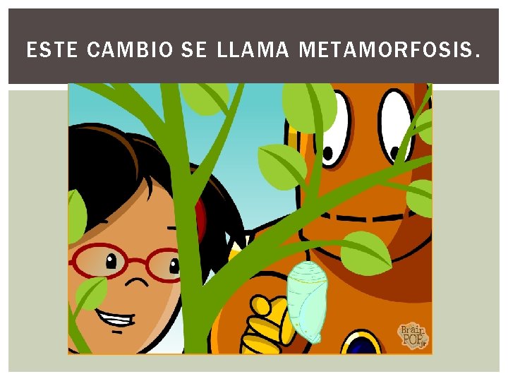 ESTE CAMBIO SE LLAMA METAMORFOSIS. 