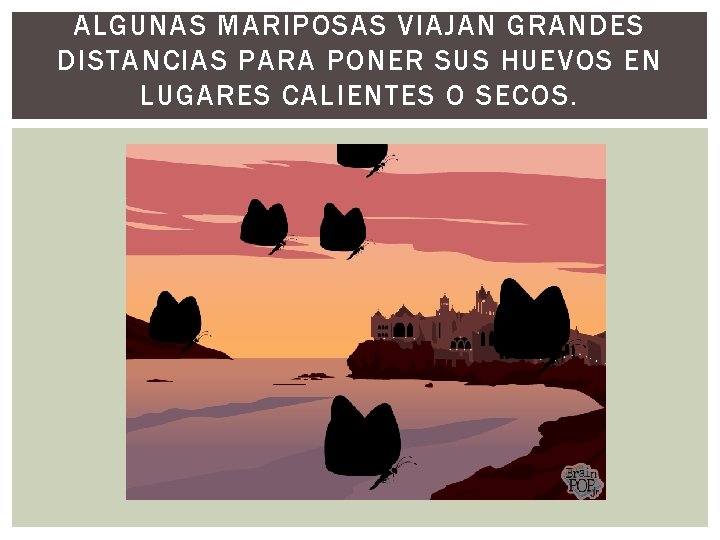 ALGUNAS MARIPOSAS VIAJAN GRANDES DISTANCIAS PARA PONER SUS HUEVOS EN LUGARES CALIENTES O SECOS.