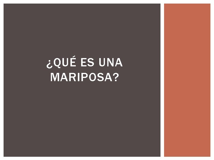 ¿QUÉ ES UNA MARIPOSA? 