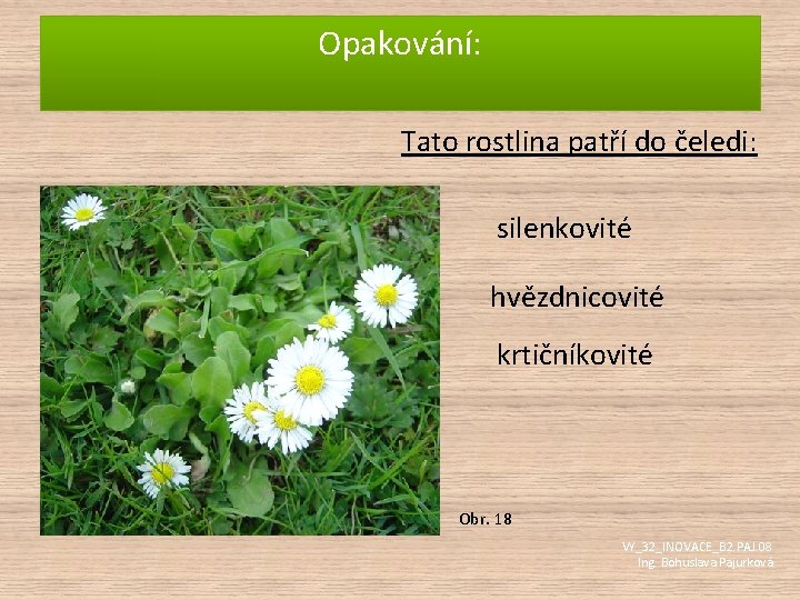 Opakování: Tato rostlina patří do čeledi: silenkovité hvězdnicovité krtičníkovité Obr. 18 VY_32_INOVACE_B 2. PAJ.