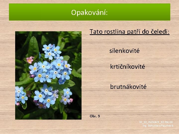 Opakování: Tato rostlina patří do čeledi: silenkovité krtičníkovité brutnákovité Obr. 9 VY_32_INOVACE_B 2. PAJ.