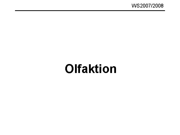 WS 2007/2008 Olfaktion 