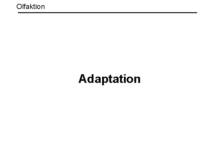 Olfaktion Adaptation 