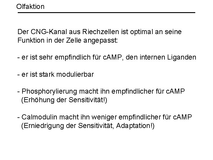 Olfaktion Der CNG-Kanal aus Riechzellen ist optimal an seine Funktion in der Zelle angepasst: