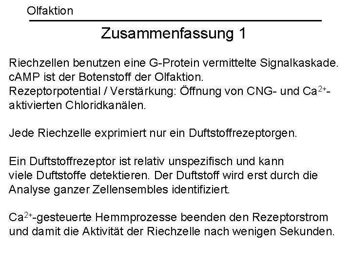 Olfaktion Zusammenfassung 1 Riechzellen benutzen eine G-Protein vermittelte Signalkaskade. c. AMP ist der Botenstoff