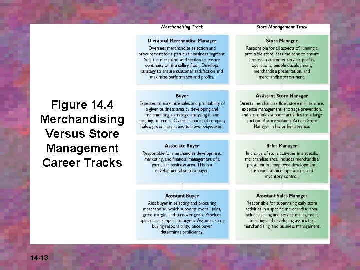 Figure 14. 4 Merchandising Versus Store Management Career Tracks 14 -13 