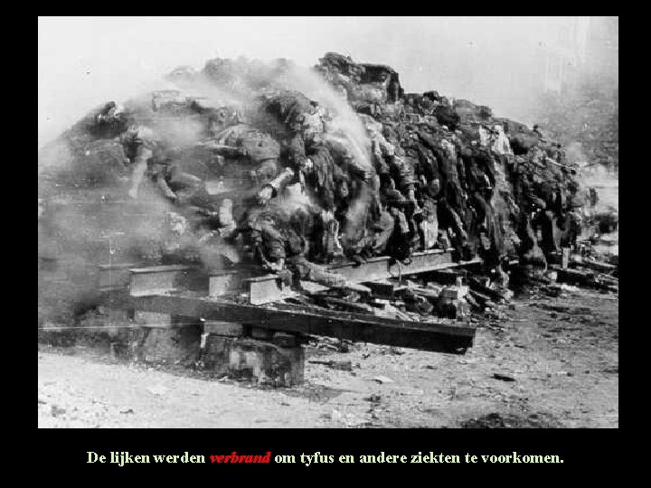 De lijken werden verbrand om tyfus en andere ziekten te voorkomen. De lijken werden verbrand om tyfus en andere ziekten te voorkomen.