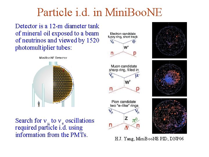 Particle i. d. in Mini. Boo. NE Detector is a 12 -m diameter tank Particle i. d. in Mini. Boo. NE Detector is a 12 -m diameter tank