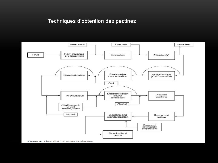 Techniques d’obtention des pectines 