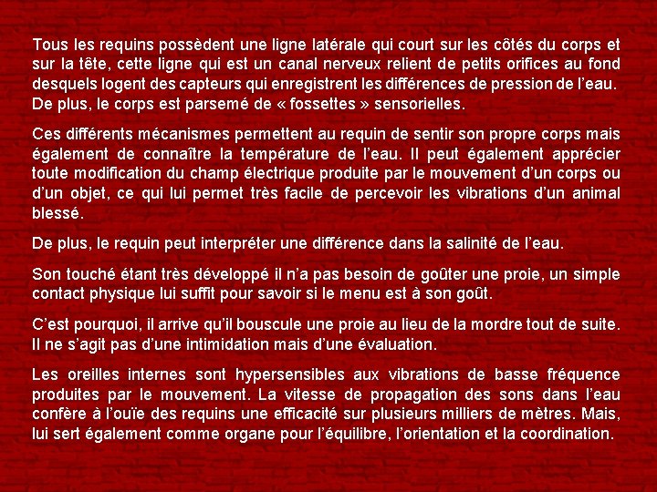 Tous les requins possèdent une ligne latérale qui court sur les côtés du corps