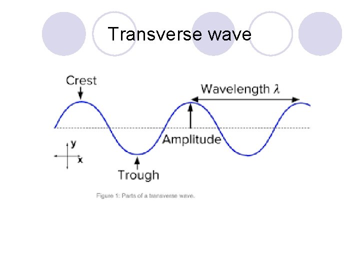 Transverse wave 