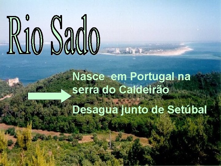 Nasce em Portugal na serra do Caldeirão Desagua junto de Setúbal Nasce em Portugal na serra do Caldeirão Desagua junto de Setúbal
