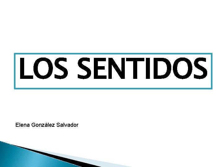 LOS SENTIDOS Elena González Salvador 