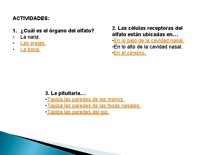 ACTIVIDADES: 1. • • • ¿Cuál es el órgano del olfato? La nariz. Las