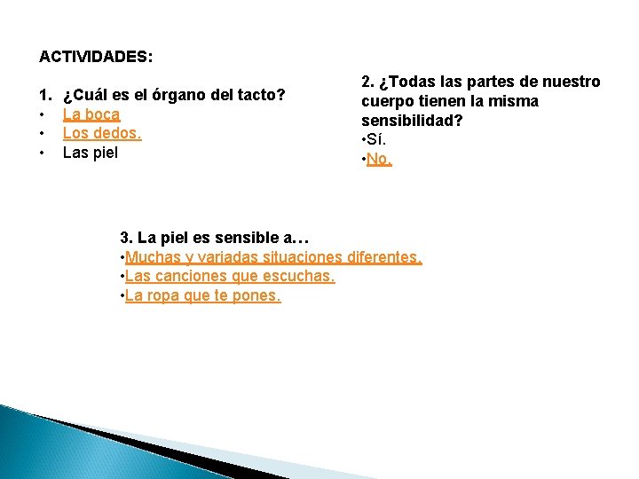 ACTIVIDADES: 1. • • • ¿Cuál es el órgano del tacto? La boca Los