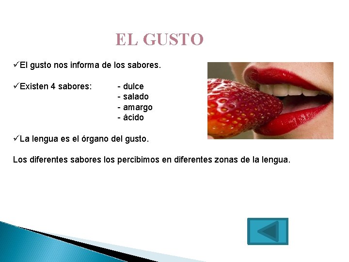 EL GUSTO üEl gusto nos informa de los sabores. üExisten 4 sabores: - dulce