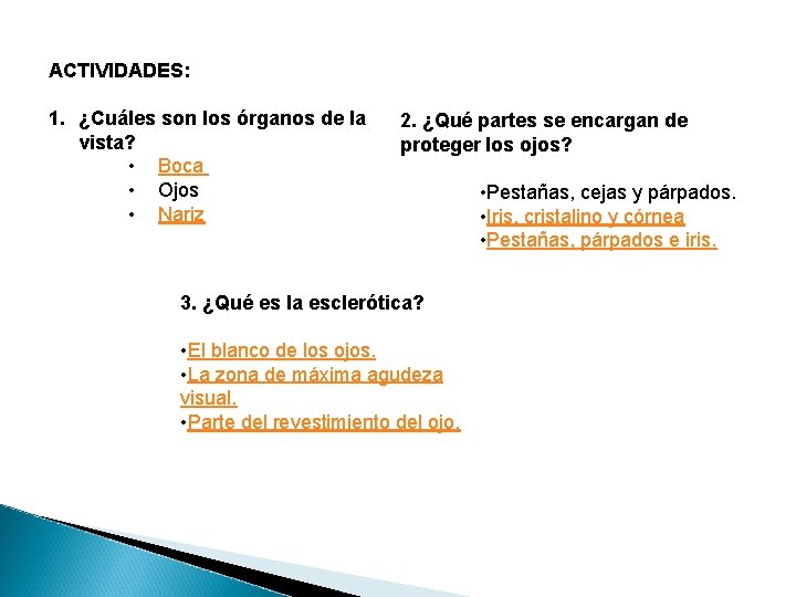 ACTIVIDADES: 1. ¿Cuáles son los órganos de la vista? • Boca • Ojos •