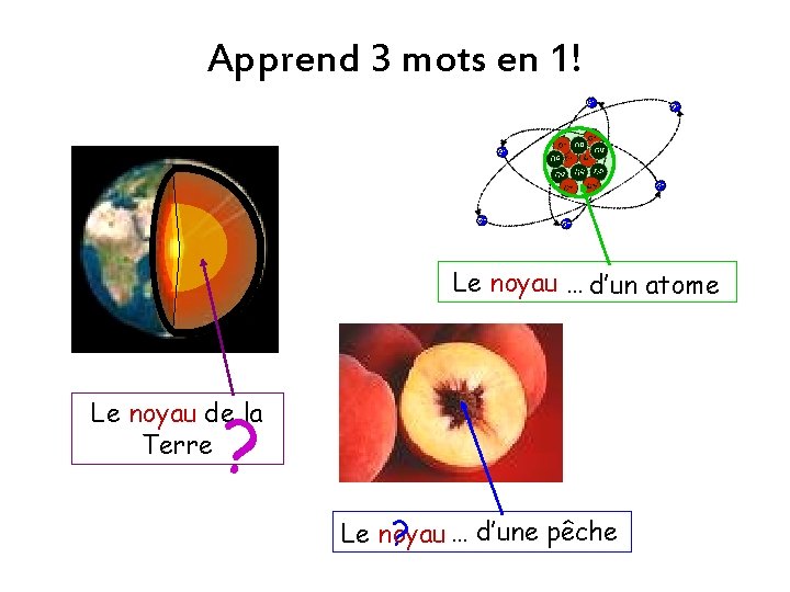 Apprend 3 mots en 1! Le atome Le noyau …un … d’un atome ?