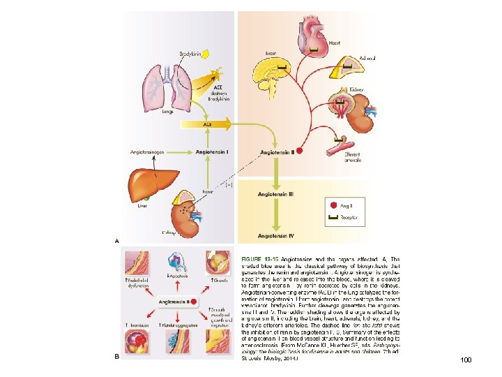 Copyright © 2017 Elsevier Inc. All rights reserved. 100 